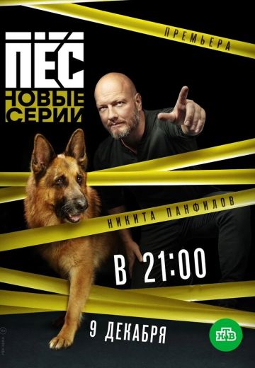 Пёс 5 сезон (2019) Сериал 1,2,3,4,5,6,7,8,9,10,11,12,13,14,15,16,17,18,19,20 серия