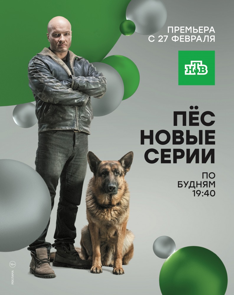 Пёс 2 сезон (2016) Сериал 1,2,3,4,5,6,7,8,9,10,11,12,13,14,15,16,17,18,19,20 серия