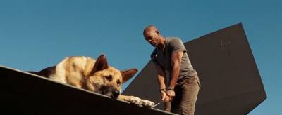 Я - легенда! / I Am Legend (2007) изображение,скриншот