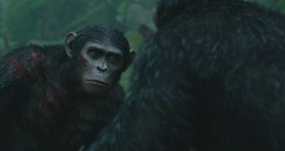 Планета обезьян: Революция / Dawn of the Planet of the Apes (2014) изображение,скриншот